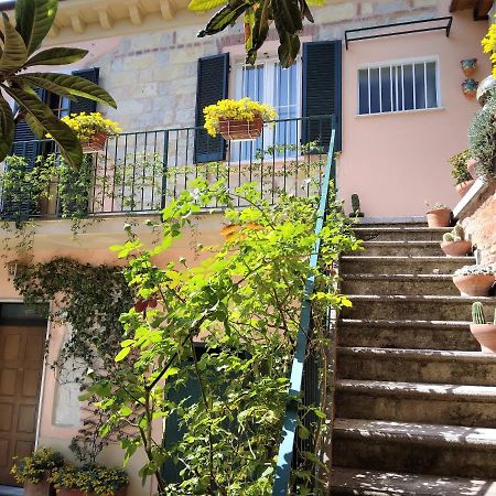 La Terrazza Sul Monferrato Leilighet Ozzano Monferrato Eksteriør bilde