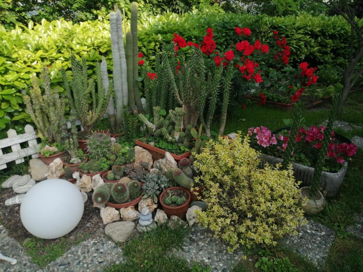 La Terrazza Sul Monferrato Leilighet Ozzano Monferrato Eksteriør bilde